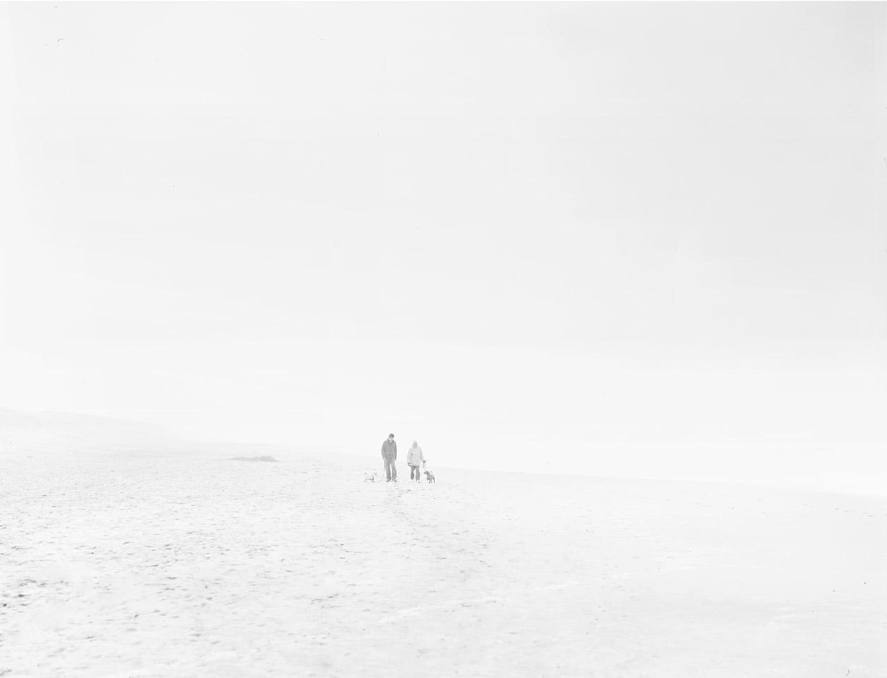 Wanders in the Sea of Fog